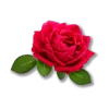 Rose - Musk Royale